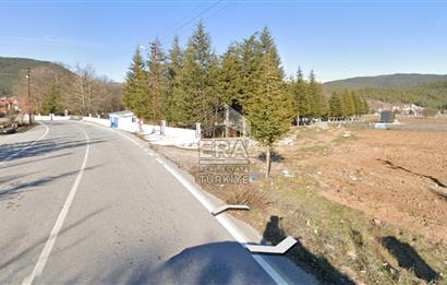 ANTALYA AKSEKİ CEVİZLİ SATILIK TEK TAPU ARAZİ VE TINY HOUSE