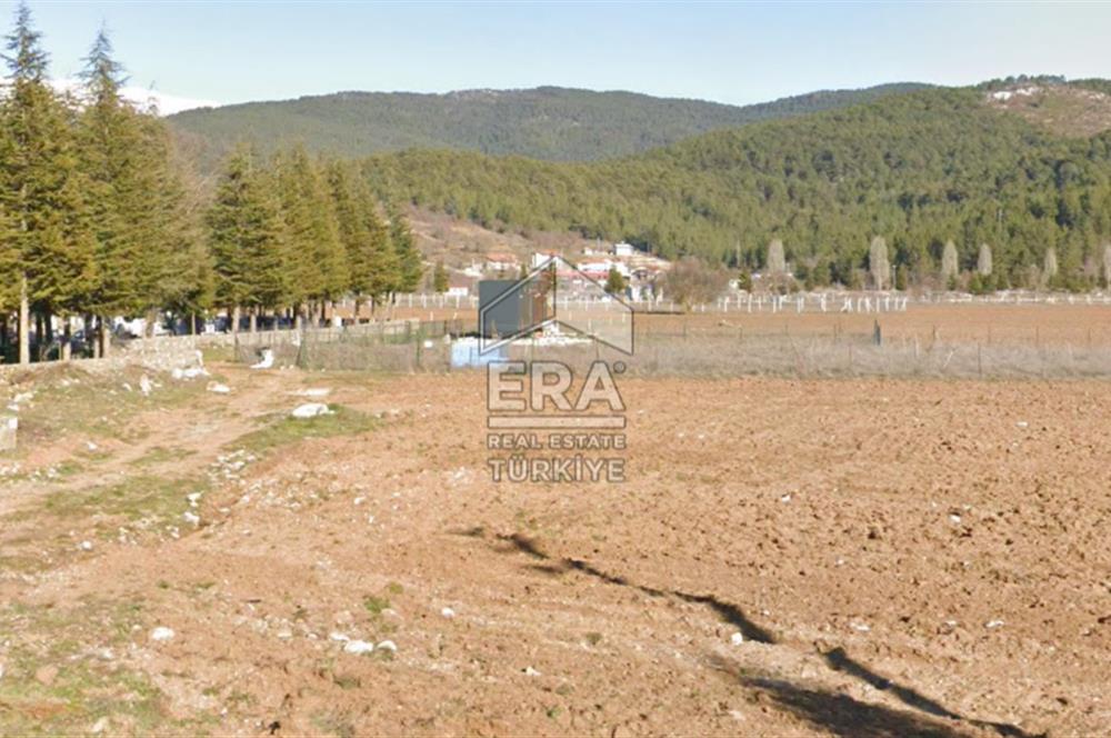 ANTALYA AKSEKİ CEVİZLİ SATILIK TEK TAPU ARAZİ VE TINY HOUSE