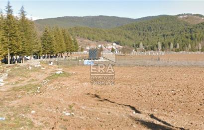 ANTALYA AKSEKİ CEVİZLİ SATILIK TEK TAPU ARAZİ VE TINY HOUSE