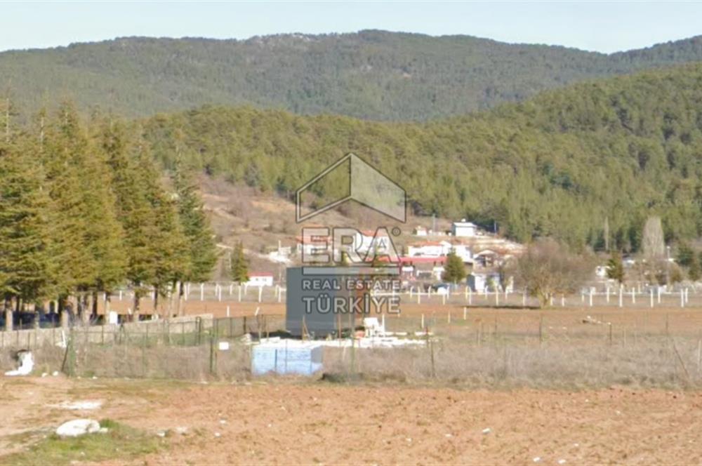 ANTALYA AKSEKİ CEVİZLİ SATILIK TEK TAPU ARAZİ VE TINY HOUSE