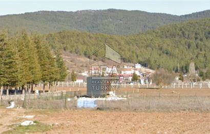 ANTALYA AKSEKİ CEVİZLİ SATILIK TEK TAPU ARAZİ VE TINY HOUSE