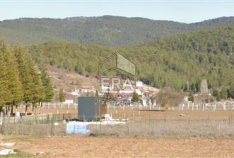 ANTALYA AKSEKİ CEVİZLİ SATILIK TEK TAPU ARAZİ VE TINY HOUSE - 1 - 14907