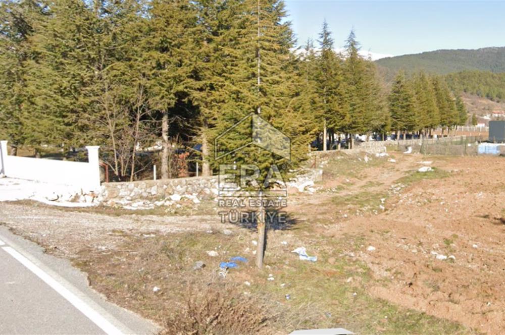 ANTALYA AKSEKİ CEVİZLİ SATILIK TEK TAPU ARAZİ VE TINY HOUSE