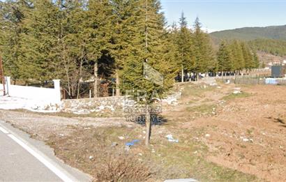 ANTALYA AKSEKİ CEVİZLİ SATILIK TEK TAPU ARAZİ VE TINY HOUSE