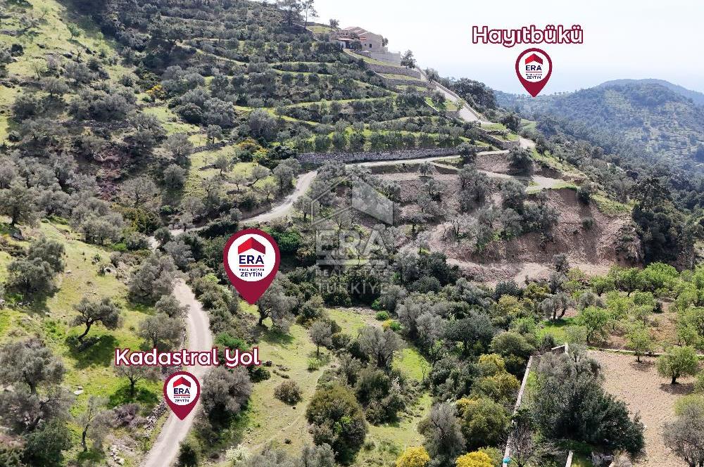 Datça Mesudiye’de Yatırım Değeri Yüksek Tarla