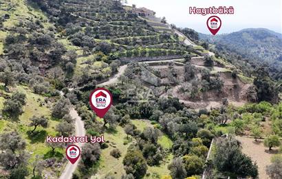 Datça Mesudiye’de Yatırım Değeri Yüksek Tarla