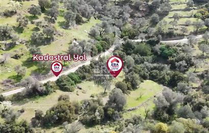 Datça Mesudiye’de Yatırım Değeri Yüksek Tarla