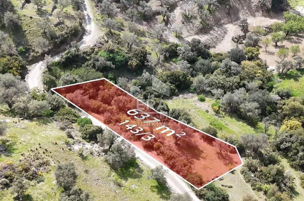 Datça Mesudiye’de Yatırım Değeri Yüksek Tarla