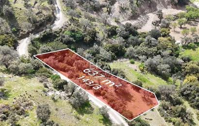 Datça Mesudiye’de Yatırım Değeri Yüksek Tarla