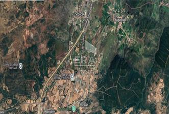 BALIKESİR SAVAŞTEPE SOĞUCAK DA SATILIK 3939M² TARLA - 3 - 14919