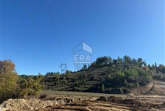 KONYA SEYDİŞEHİR TARAŞCI'DA SATILIK ÇİFTLİK - 10 - 14891