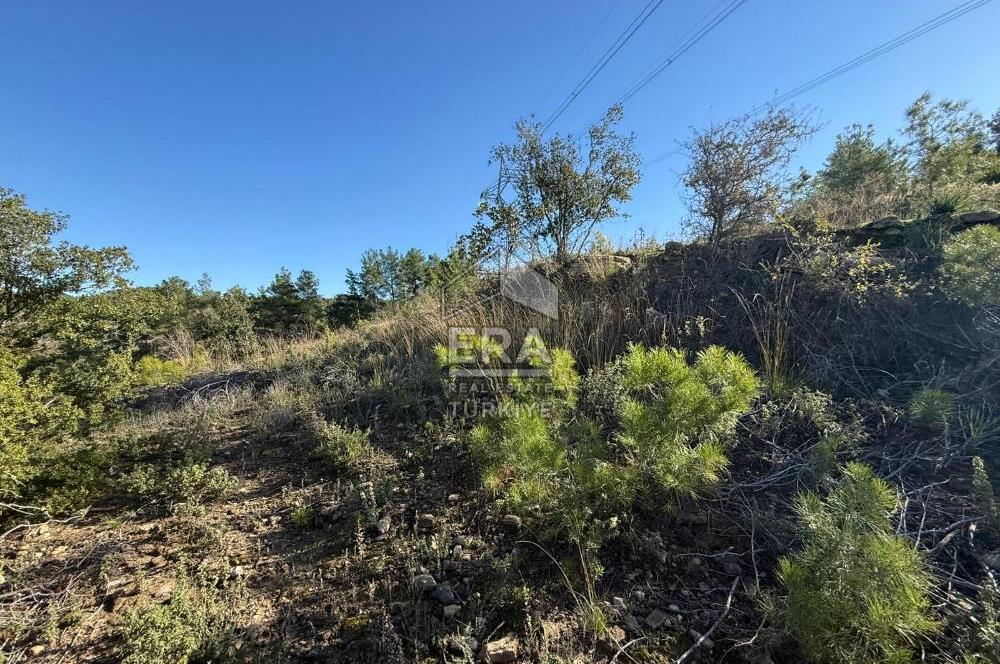 KONYA SEYDİŞEHİR TARAŞCI'DA SATILIK ÇİFTLİK