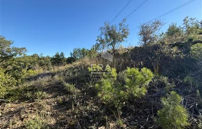 KONYA SEYDİŞEHİR TARAŞCI'DA SATILIK ÇİFTLİK