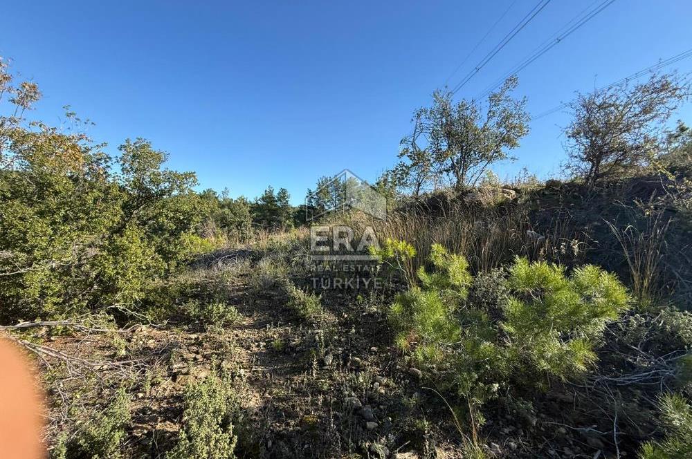 KONYA SEYDİŞEHİR TARAŞCI'DA SATILIK ÇİFTLİK