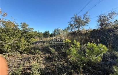KONYA SEYDİŞEHİR TARAŞCI'DA SATILIK ÇİFTLİK