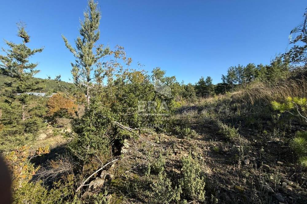 KONYA SEYDİŞEHİR TARAŞCI'DA SATILIK ÇİFTLİK