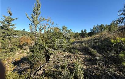 KONYA SEYDİŞEHİR TARAŞCI'DA SATILIK ÇİFTLİK