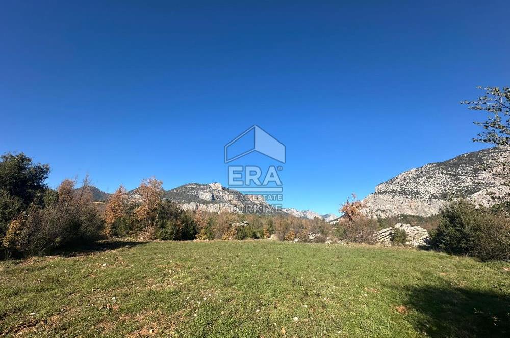 ANTALYA İBRADI DÜZLEN MAHALLESİ SATILIK TEK TAPU TARLA