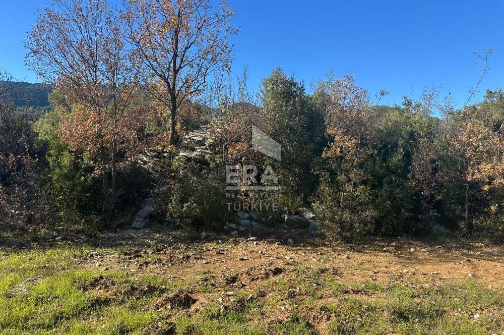 ANTALYA İBRADI DÜZLEN MAHALLESİ SATILIK TEK TAPU TARLA