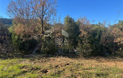 ANTALYA İBRADI DÜZLEN MAHALLESİ SATILIK TEK TAPU TARLA