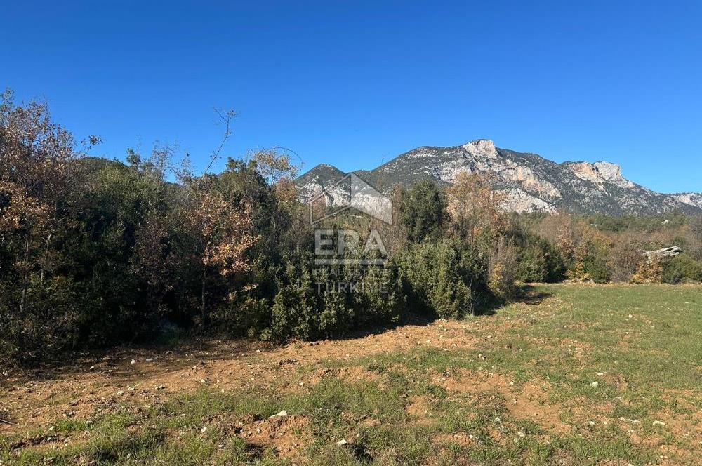 ANTALYA İBRADI DÜZLEN MAHALLESİ SATILIK TEK TAPU TARLA