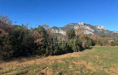 ANTALYA İBRADI DÜZLEN MAHALLESİ SATILIK TEK TAPU TARLA