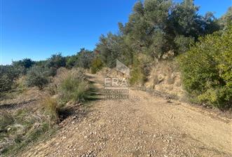 HACIİSALİ TEK TAPU TARLA  - 2 - 14871