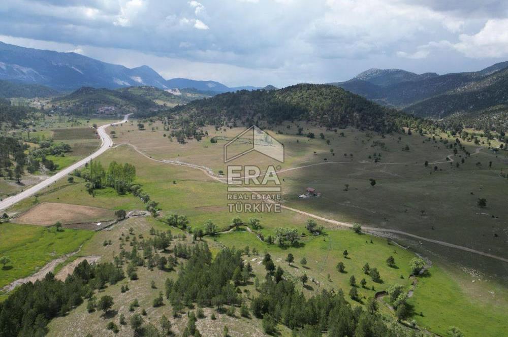 KONYA DEREBUCAK ÇAMLIK (BAKARAN YAYLASI) SATILIK TEK TAPU TARLA