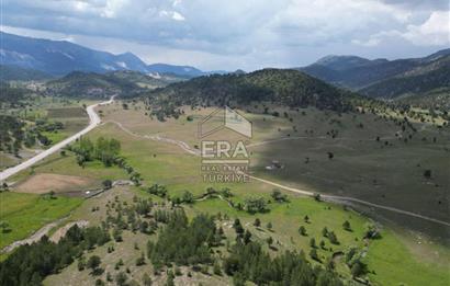 KONYA DEREBUCAK ÇAMLIK (BAKARAN YAYLASI) SATILIK TEK TAPU TARLA