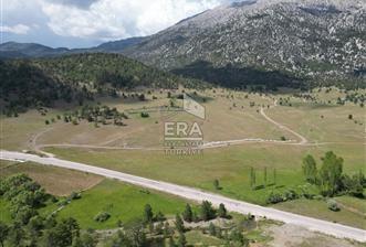 KONYA DEREBUCAK ÇAMLIK (BAKARAN YAYLASI) SATILIK TEK TAPU TARLA - 5 - 14899