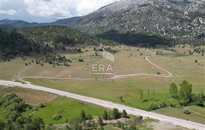 KONYA DEREBUCAK ÇAMLIK (BAKARAN YAYLASI) SATILIK TEK TAPU TARLA