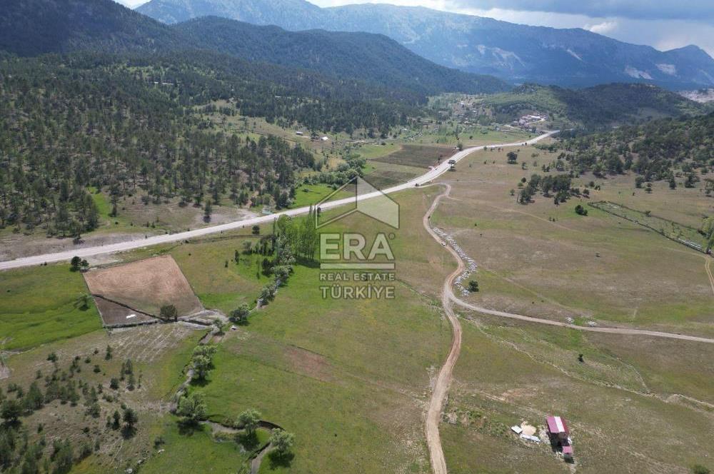 KONYA DEREBUCAK ÇAMLIK (BAKARAN YAYLASI) SATILIK TEK TAPU TARLA