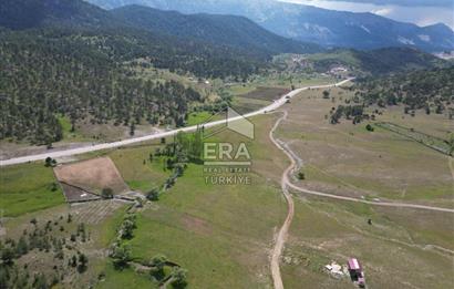 KONYA DEREBUCAK ÇAMLIK (BAKARAN YAYLASI) SATILIK TEK TAPU TARLA