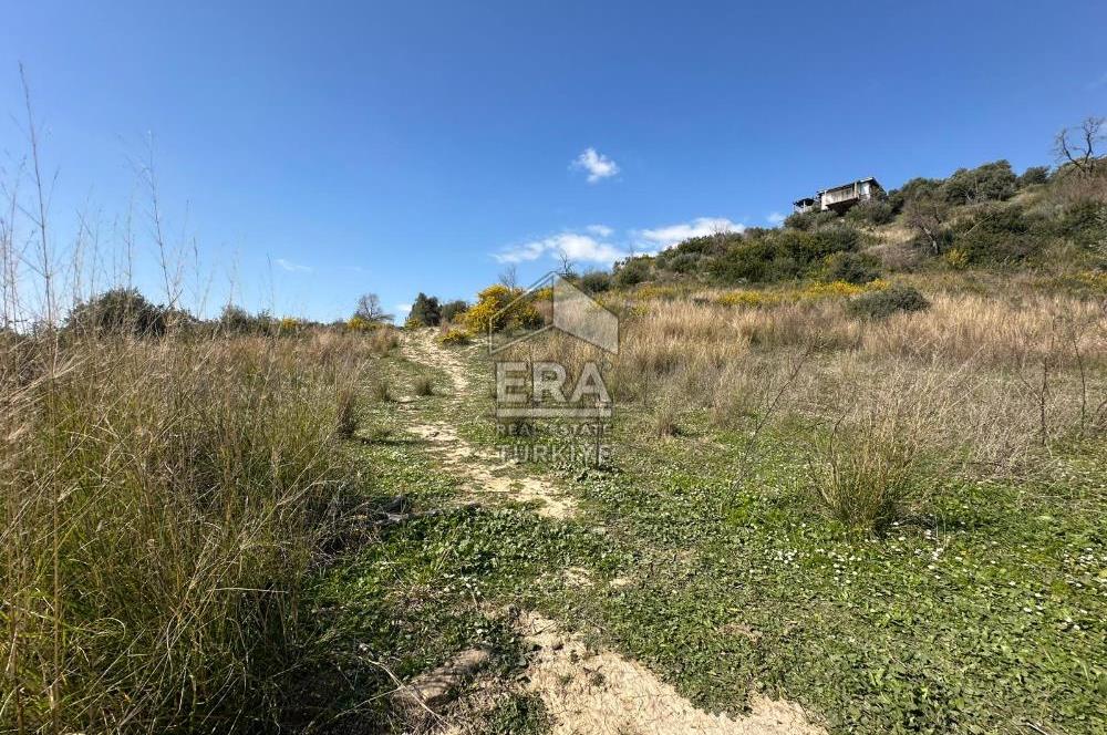 ANTALYA MANAVGAT HACIALİ MAHALLESİ SATILIK TEK TAPU TARLA