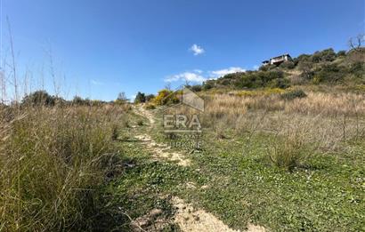 ANTALYA MANAVGAT HACIALİ MAHALLESİ SATILIK TEK TAPU TARLA