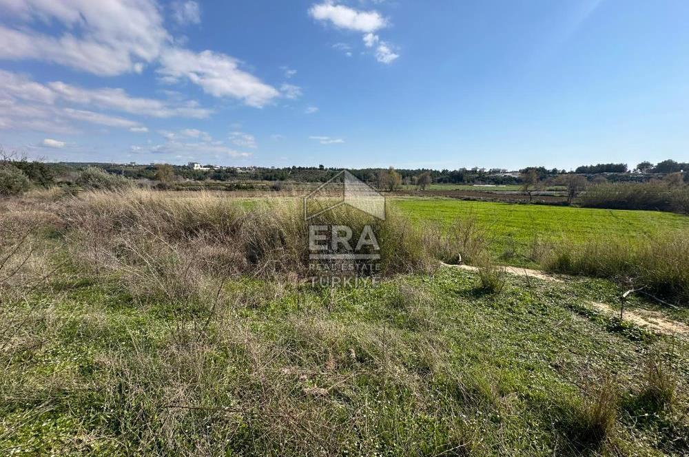 ANTALYA MANAVGAT HACIALİ MAHALLESİ SATILIK TEK TAPU TARLA