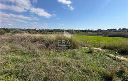 ANTALYA MANAVGAT HACIALİ MAHALLESİ SATILIK TEK TAPU TARLA