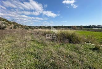 ANTALYA MANAVGAT HACIALİ MAHALLESİ SATILIK TEK TAPU TARLA - 3 - 14904