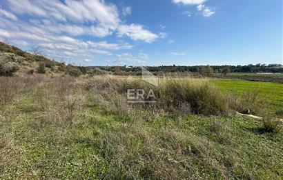 ANTALYA MANAVGAT HACIALİ MAHALLESİ SATILIK TEK TAPU TARLA