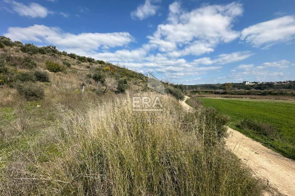 ANTALYA MANAVGAT HACIALİ MAHALLESİ SATILIK TEK TAPU TARLA