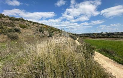 ANTALYA MANAVGAT HACIALİ MAHALLESİ SATILIK TEK TAPU TARLA