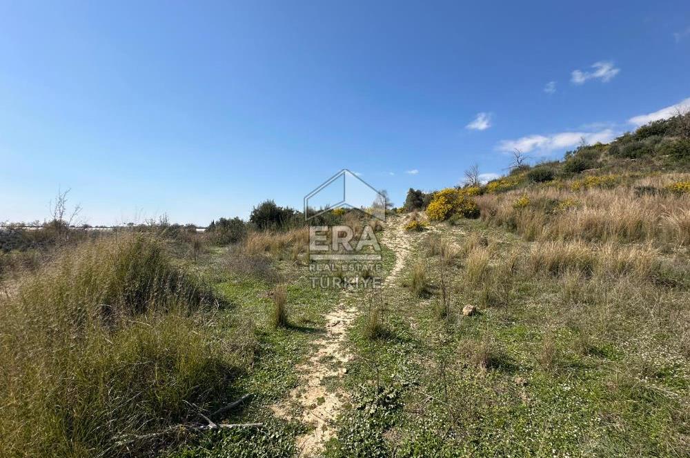 ANTALYA MANAVGAT HACIALİ MAHALLESİ SATILIK TEK TAPU TARLA