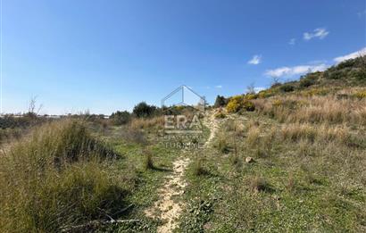 ANTALYA MANAVGAT HACIALİ MAHALLESİ SATILIK TEK TAPU TARLA