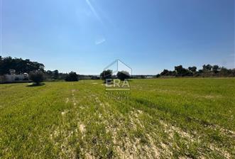 ANTALYA MANAVGAT SEYDİLER MAHALLESİ SATILIK TEK TAPU TARLA - 2 - 14905