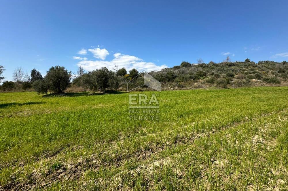 ANTALYA MANAVGAT SEYDİLER MAHALLESİ SATILIK TEK TAPU TARLA