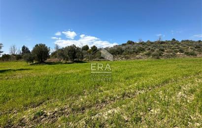 ANTALYA MANAVGAT SEYDİLER MAHALLESİ SATILIK TEK TAPU TARLA