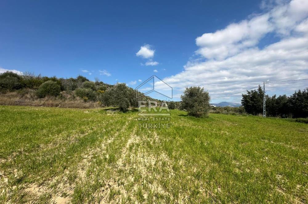 ANTALYA MANAVGAT SEYDİLER MAHALLESİ SATILIK TEK TAPU TARLA