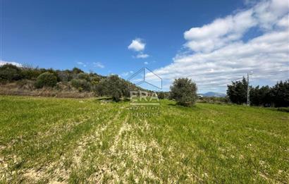 ANTALYA MANAVGAT SEYDİLER MAHALLESİ SATILIK TEK TAPU TARLA