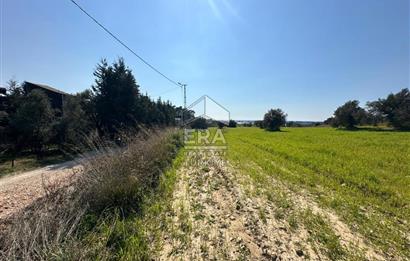 ANTALYA MANAVGAT SEYDİLER MAHALLESİ SATILIK TEK TAPU TARLA