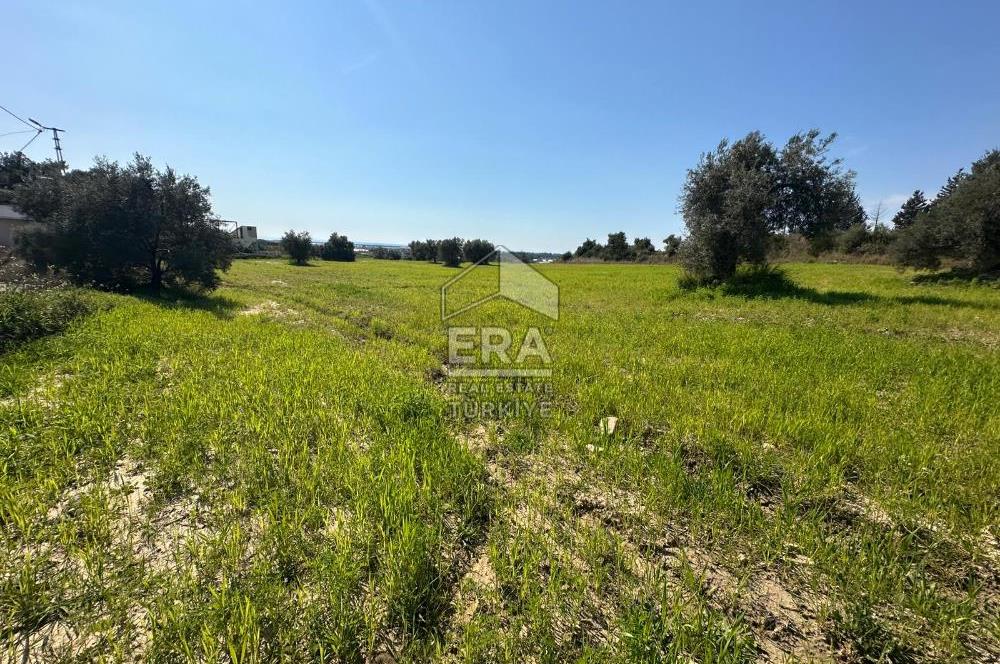 ANTALYA MANAVGAT SEYDİLER MAHALLESİ SATILIK TEK TAPU TARLA